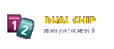 Dual Chip