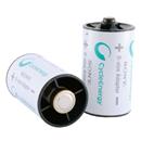 Adaptador Sony NH-AA-B2KX2DN para Pilhas AA Rec...